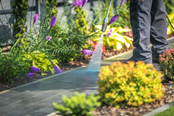 Best Restaurant Pressure Washing  in Hardwick, GA